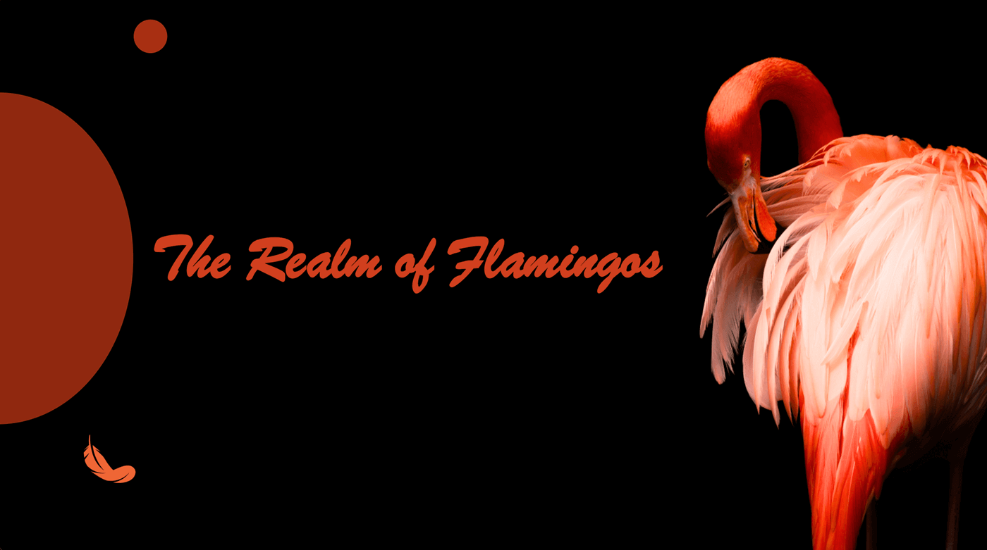 flamingo